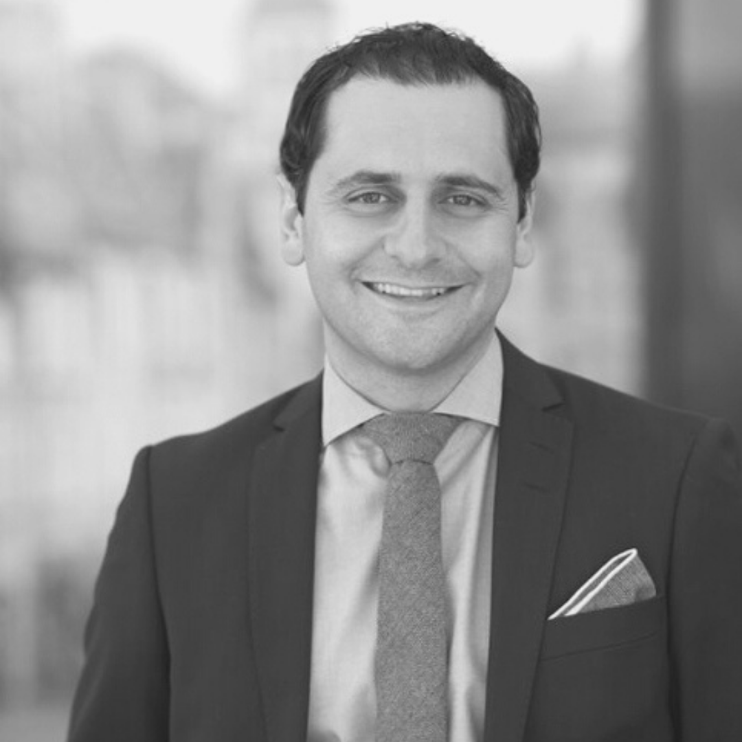 Emil Abedian Advisory Board Mentor Foundation USA